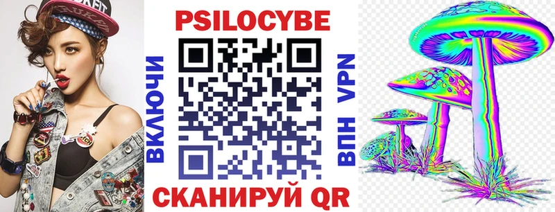 Псилоцибиновые грибы MAGIC MUSHROOMS  хочу наркоту  Кизилюрт 
